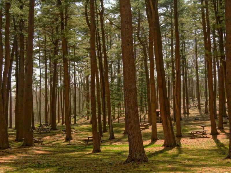 sudoku problem solving screenshot 2